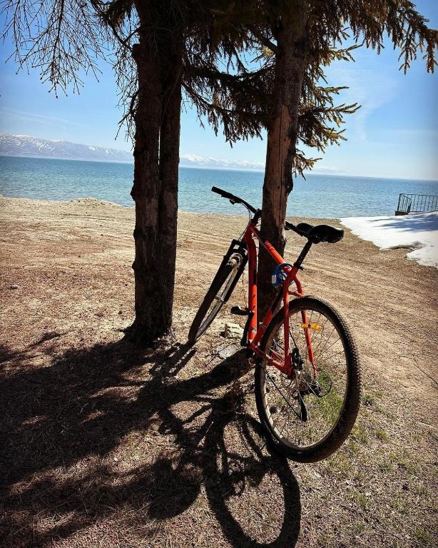 Bike 3 — heading toward the hills