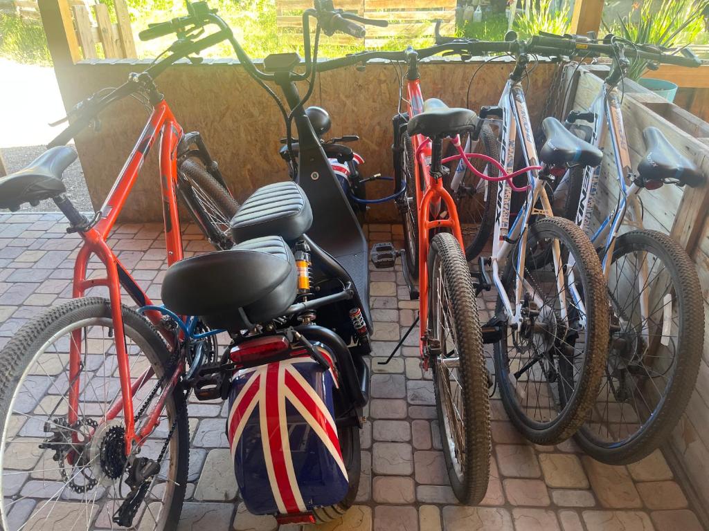Bike 4 — on a quiet trail