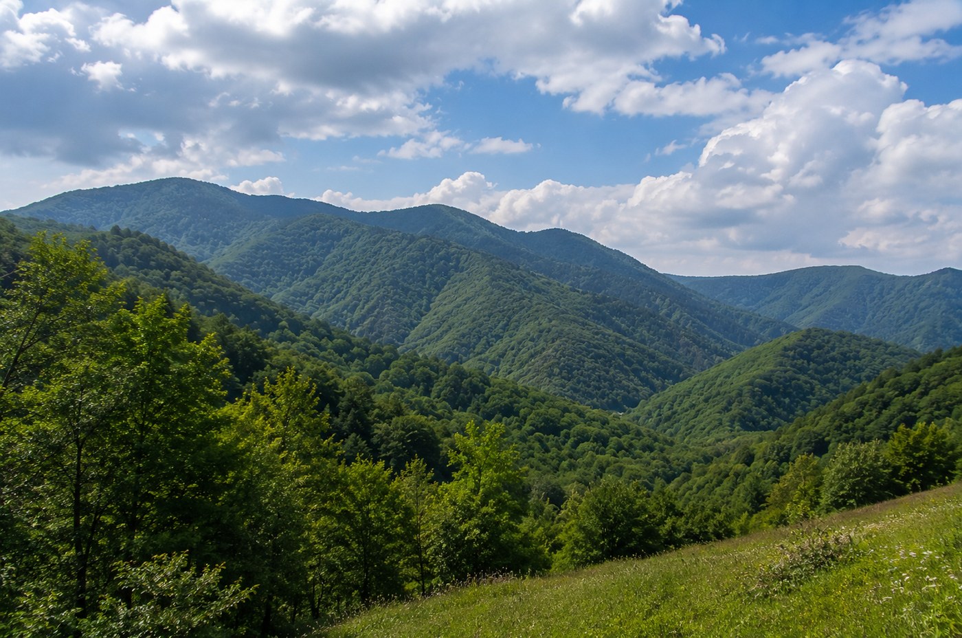 Forested slopes