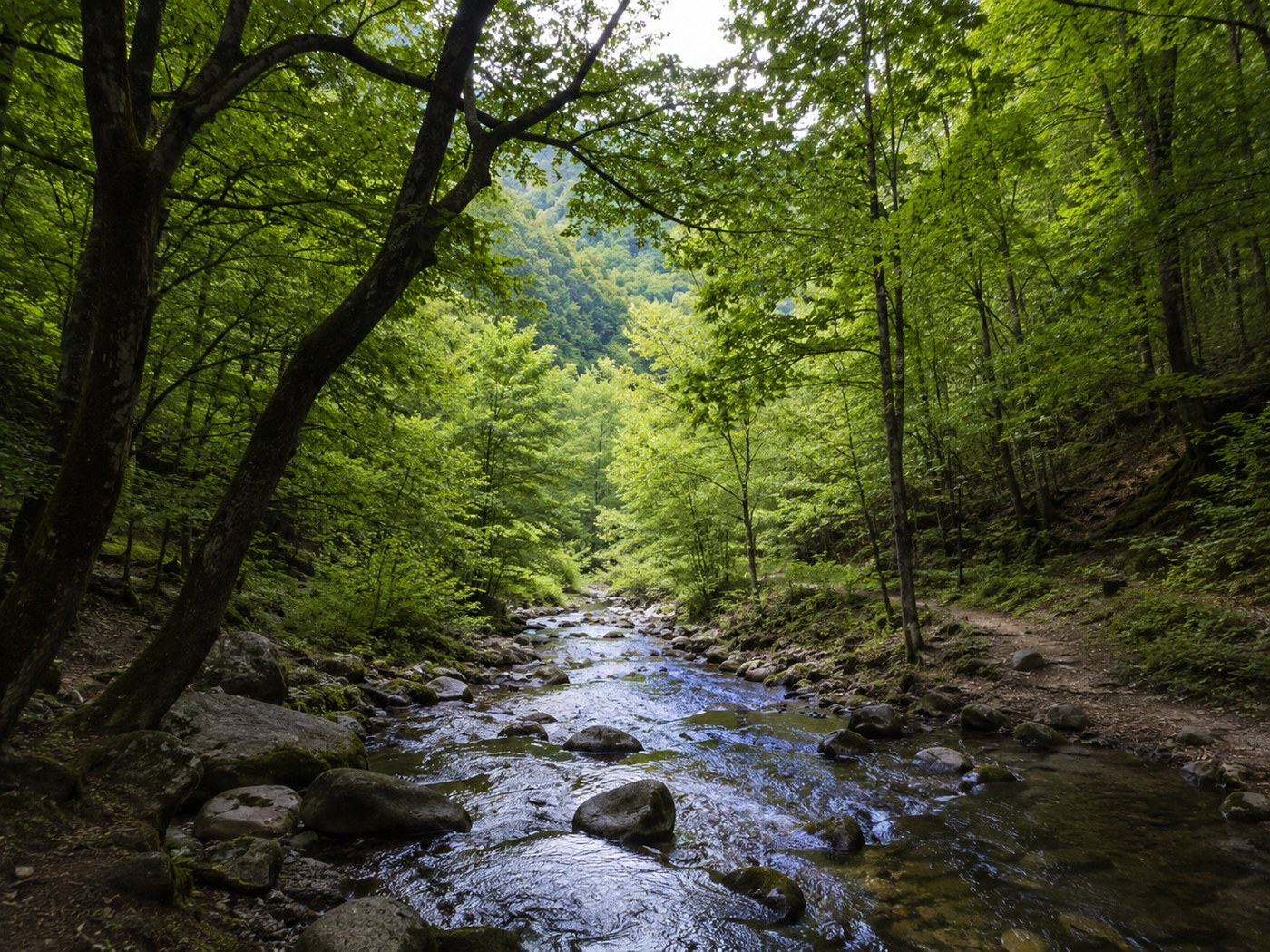 The Aghstev river beneath the terrace